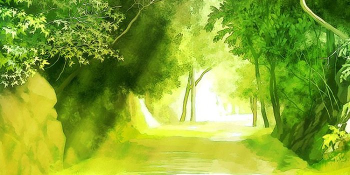 750x1334 Natural Scenery HD desktop wallpaper Fullscreen Mobile Dual | HD