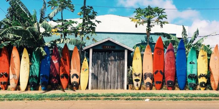 1000x800 500+ Surfing Pictures [HD] | Download Free Images on Unsplash