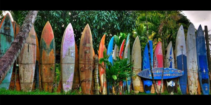 1600x954 Surfboard Wallpaper