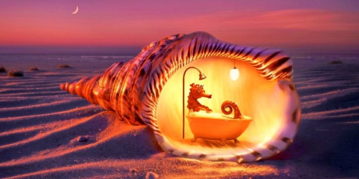 1280x800 Sea Horse Relaxing Bath wallpapers | Sea Horse Relaxing Bath stock