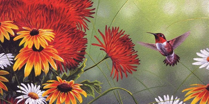 1126x800 Hummingbird and Red Flower - 1000pc Jigsaw Puzzle by Sunsout in 2019