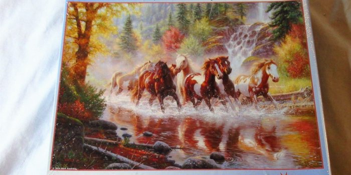 1600x1200 SunsOut 1000 Piece Jigsaw Puzzle Born to Run 52916