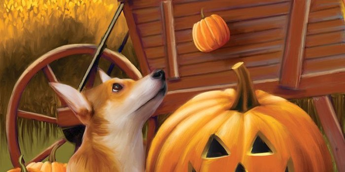 800x1264 Bombs Away | Celebrating October | Halloween, Halloween wallpaper