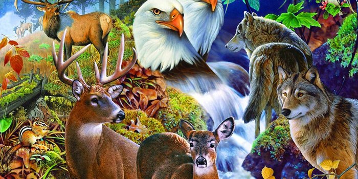 1500x1118 Puzzle SunsOut by Jigsaw Piece 1000 Neighbors Forest nqruadac11180