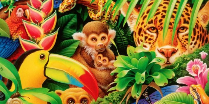 1024x768 Francisco on Animals | Jungle animals, Jungle animals