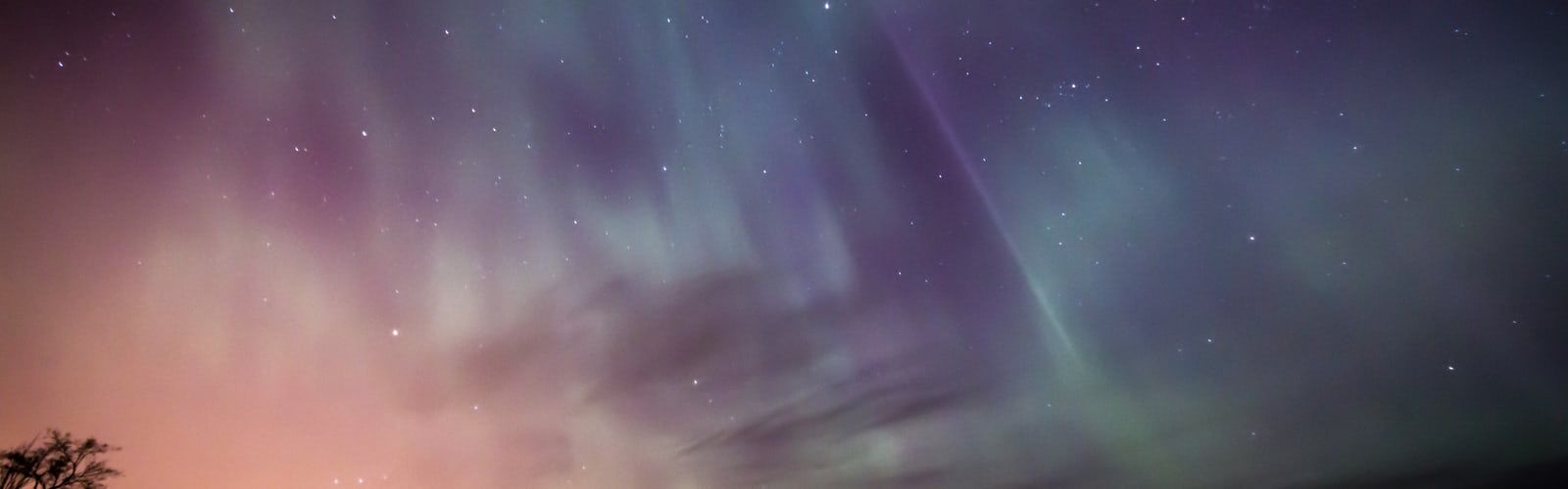 1600x500 Laptop Wallpapers | 33 best free wallpaper, forest, outdoor and