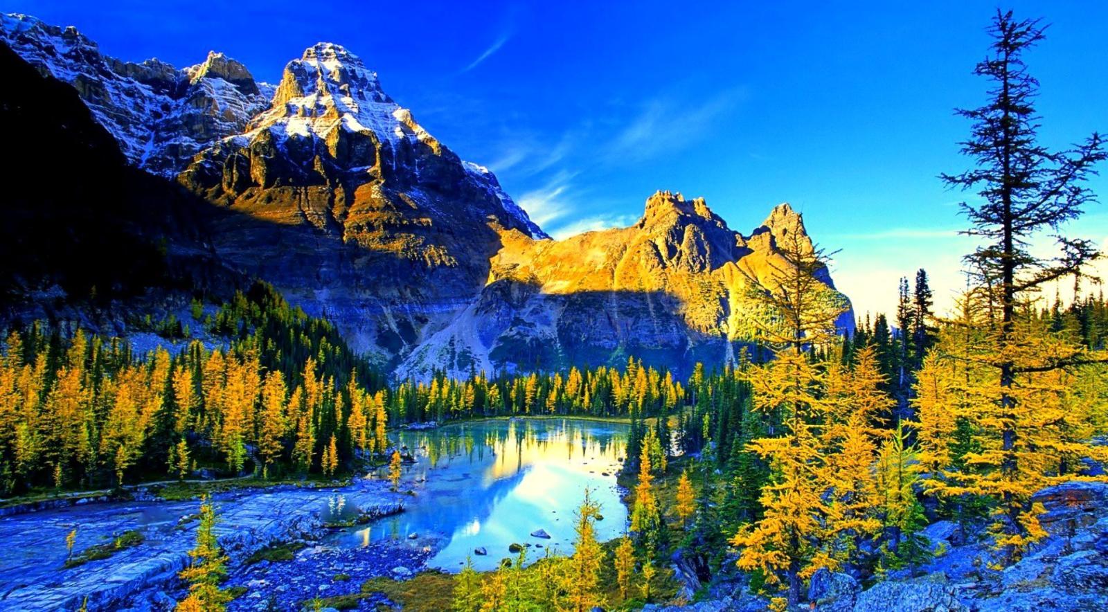 1920x1061 Ultra 4k Wallpapers Design for HP Laptop Download - HD Wallpaper 4