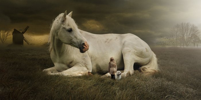 5472x3648 Wallpaper White horse, Cute girl, Cute dog, Landscape, Dream, 5K