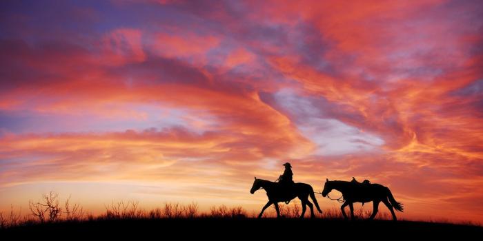 1920x1080 Sunset Horses Wallpaper - Wallpaper Stream