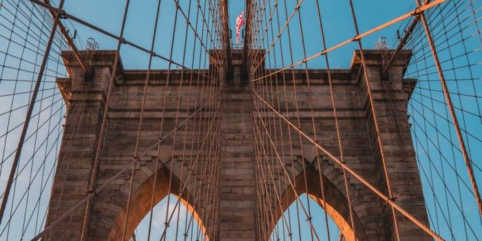 1000x1499 500+ Brooklyn Bridge Pictures | Download Free Images on Unsplash