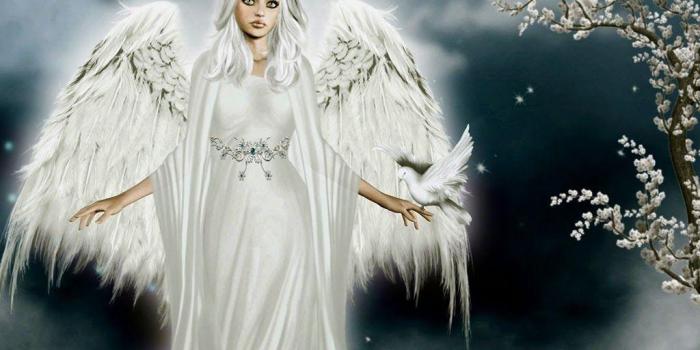 1024x768 angle wallpapers 30 + wallpaper Collection – Best Fun For All