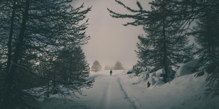 4608x3456 5352315 4608x3456 #snow, #line, #no person, #walking, #sky, #cloud