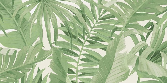 1000x1000 Palma Tropical Wallpaper Green