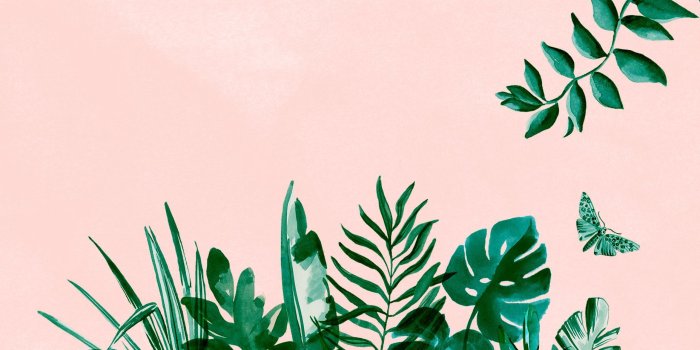 1856x1161 Summer Wallpapers | backgroundsss | Aesthetic desktop wallpaper, Mac