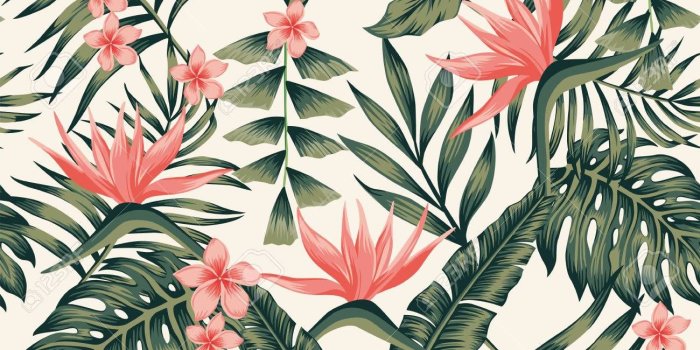 1300x1300 Tropical Wallpaper 26088 - HDWPro