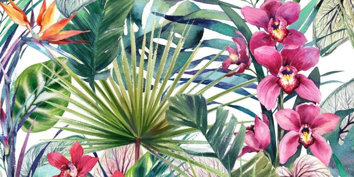 1000x1208 Aloha Tropical Wallpaper in Green from the Strata Collection by