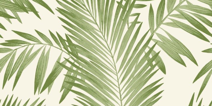1350x1800 ARTHOUSE Tropical Palm Wallpaper – Green in 2019 | beach house