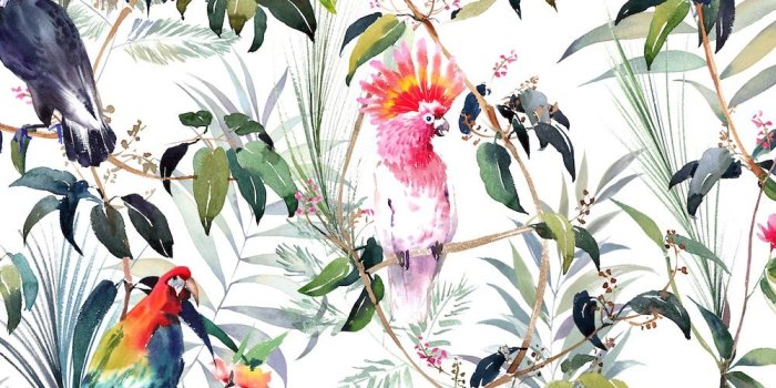 1000x1208 Fresco Amazon Tropical Multi Wallpaper