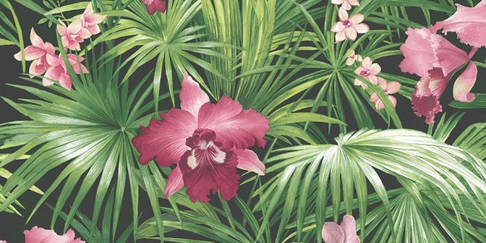 1000x1000 Tropical by Galerie - Pink / Green / Black - Wallpaper - G56435