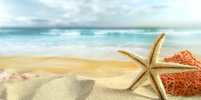 2560x1600 Vacation Wallpapers - Top Free Vacation Backgrounds - WallpaperAccess