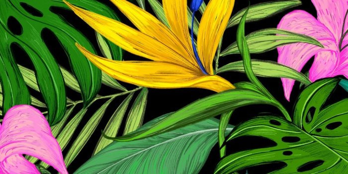 1080x1920 Download wallpaper 1080x1920 pattern, tropical, flowers, leaves