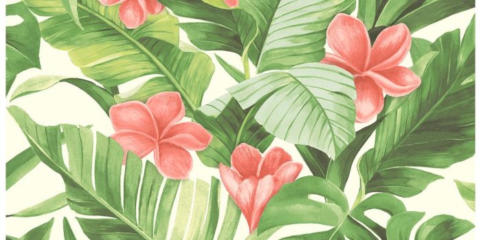 1000x1000 NuWallpaper Tropical Paradise Peel and Stick Wallpaper NU2926 - The