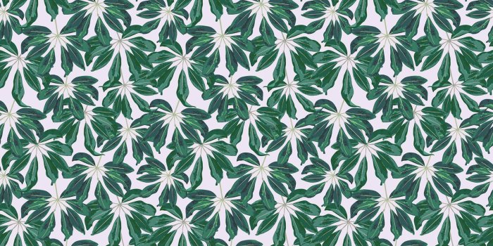 1650x1070 Tropical Banana Leaf Wallpaper - Murals Wallpaper