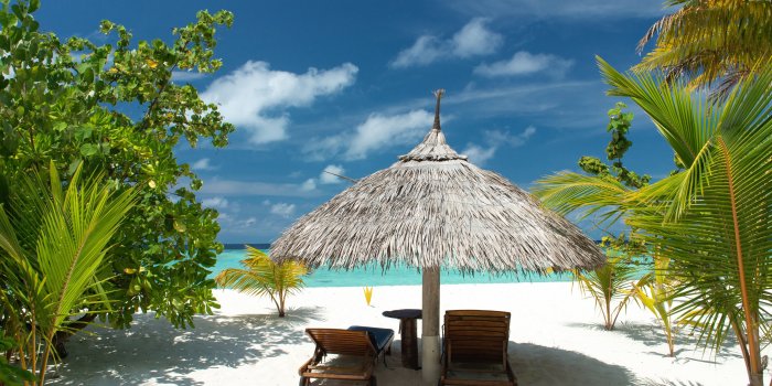 3840x2160 Wallpaper Tropical beach, sand, palm trees, sea, vacation, summer