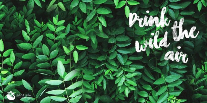1600x933 Tropical Wallpaper Desktop | One Wallpapers