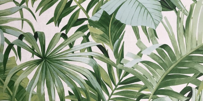 3024x3024 FD24136 Palm leaves Banana Leaf White Green Tropical Wallpaper
