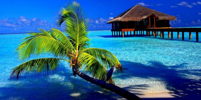 1920x1080 Cool Tropical wallpaper | 1920x1080 | #6741