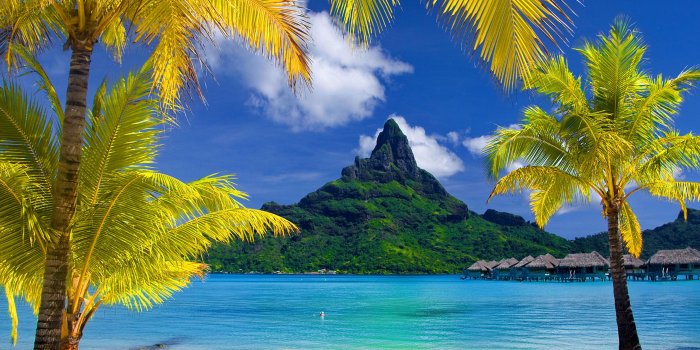 2560x1920 Lovely Tropical wallpaper | 2560x1920 | #15486