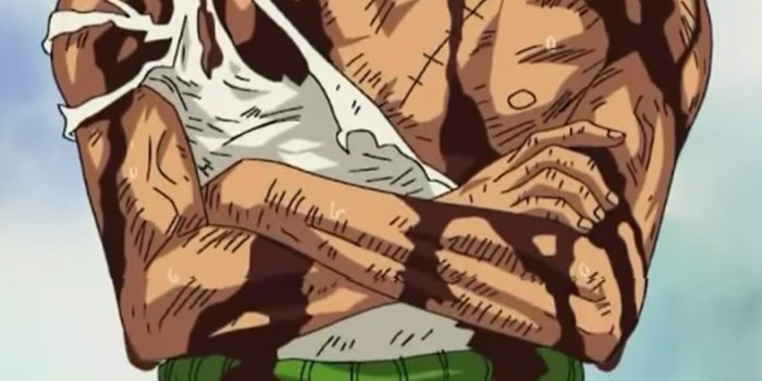 1242x2208 Roronoa Zoro iPhone 5 Wallpaper | ID: 51677 | ONEPiece | Roronoa