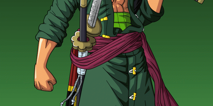 1569x3264 Zoro(One Piece) wallpaper for Pocophone F1 or any phone that have