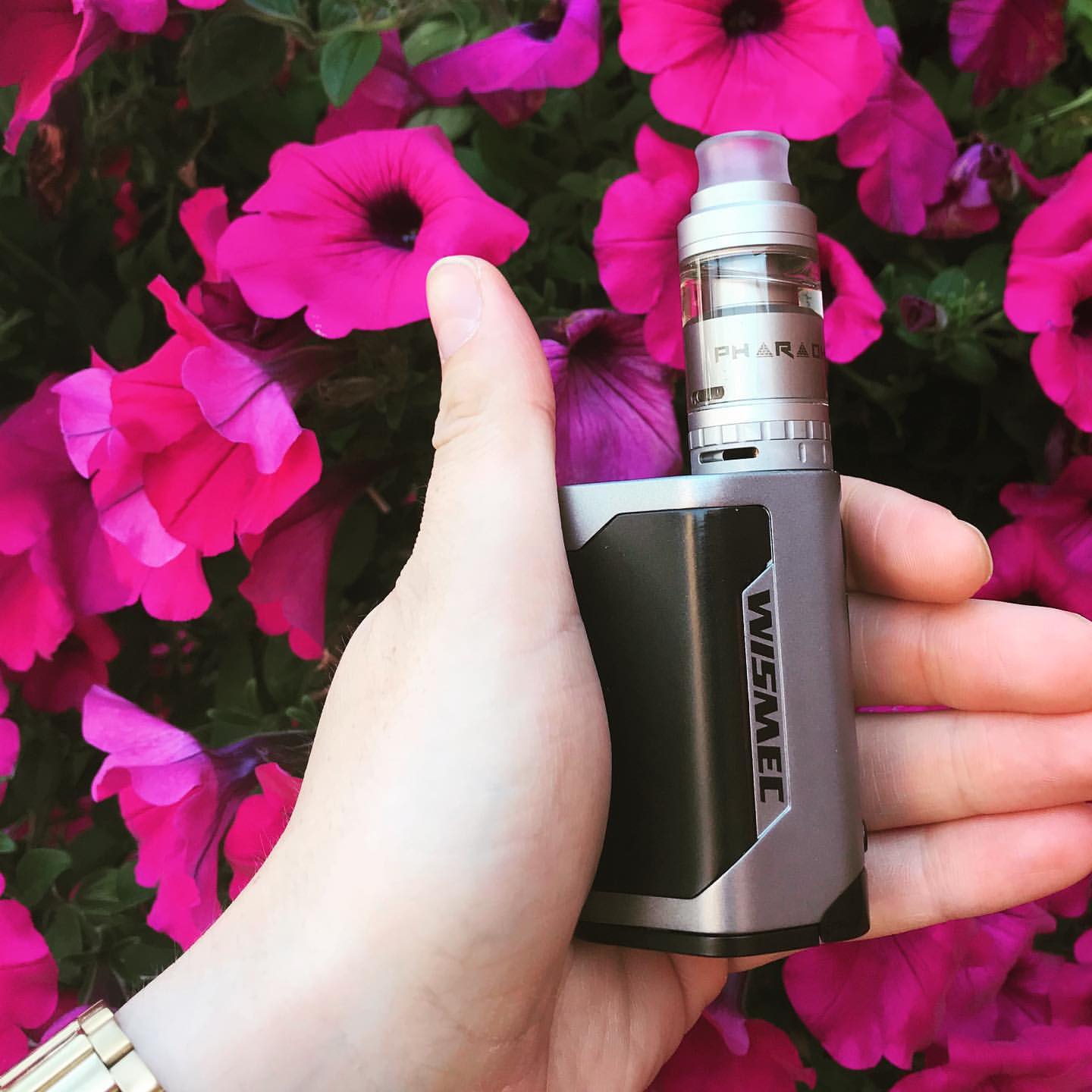 1440x1440 Images tagged with #pharaohmini on instagram