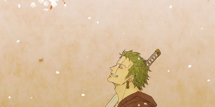 800x1400 Roronoa Zoro - ONE PIECE - Mobile Wallpaper #2088259 - Zerochan