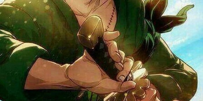 768x1024 Roronoa Zoro Wallpaper for Android - APK Download