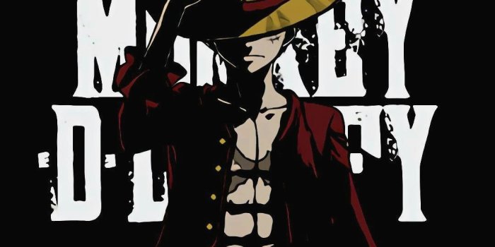 1080x1920 10 Zoro Wallpaper Vertical - Download Wallpaper HD For PC Computer