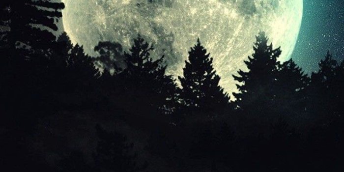 800x1280 Free App][Moonlight Live Wallpaper], Shower your screen with
