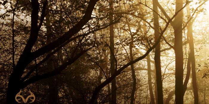 1440x900 Team Realtree wallpaper | Away from it all in 2019 | Realtree