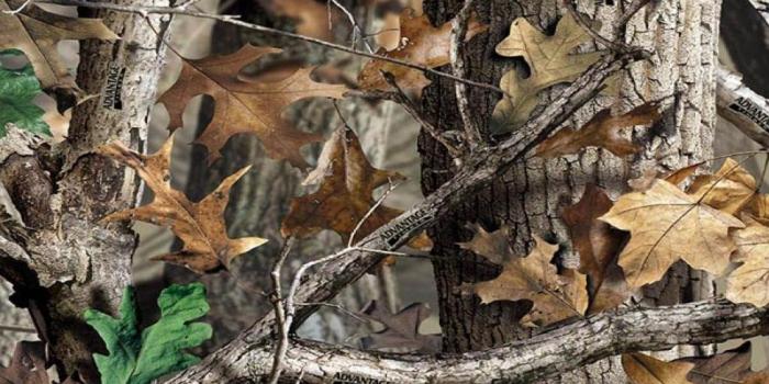 1024x768 Realtree Wallpapers - Top Free Realtree Backgrounds - WallpaperAccess