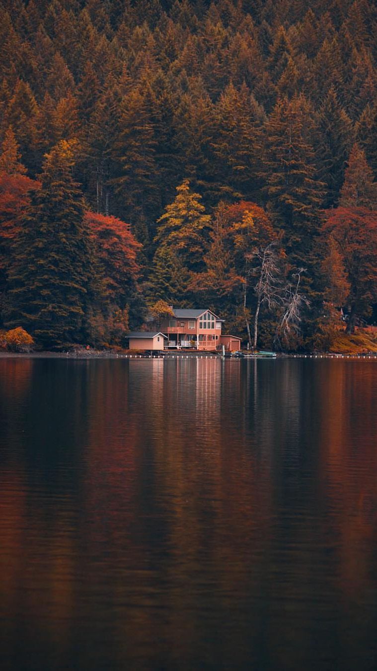 759x1350 Lake House Canada iPhone Wallpaper | iPhone Wallpapers in 2019