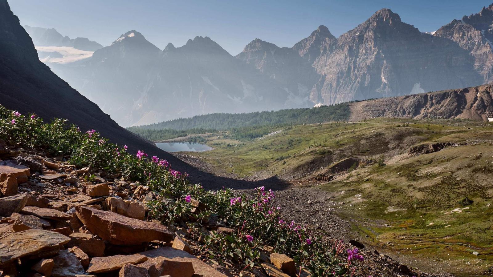 2560x1440 Sentinel Pass Banff Canada HD wallpaper