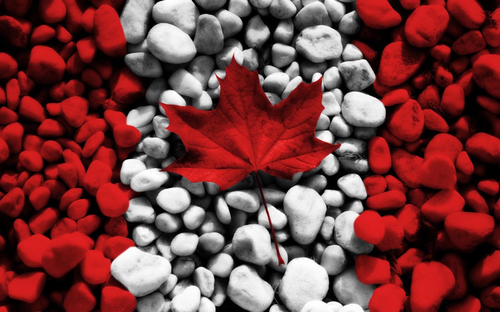 1680x1050 Canada Flag Hd Wallpapers For Mobile
