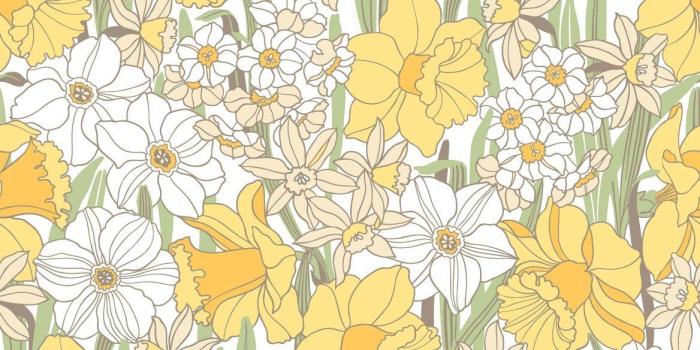 1168x1170 Daffodil Wallpaper - 2 Colours | Pattern design in 2019 | Wallpaper