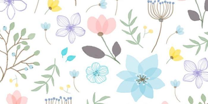 720x1280 Zennyjef on Art And Craft in 2019 | Phone backgrounds, Flower