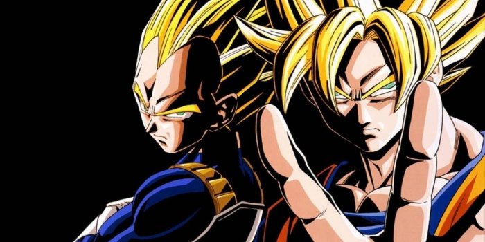 1024x768 49+] DBZ Wallpaper Goku and Vegeta on WallpaperSafari