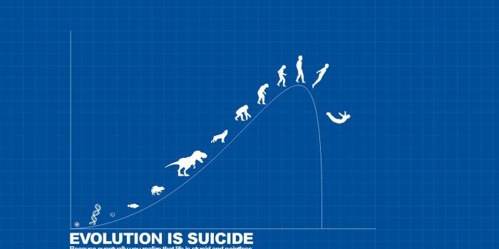 2560x1600 Stupid Wallpapers (77+ images)