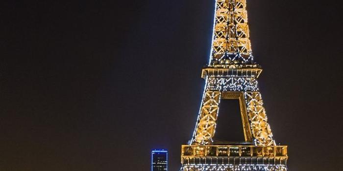 720x1520 Eiffel Tower Paris Wallpaper - [720x1520]