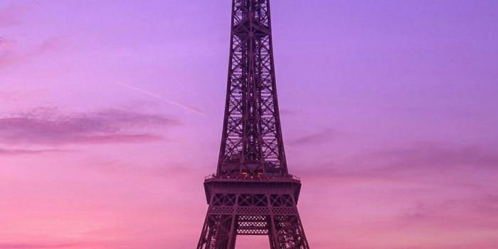 1079x2067 Lina Mustafa on Wallpaper in 2019 | Paris wallpaper, Paris